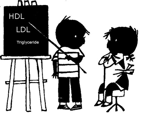 schoolbord Jip en Janneke tekst hdl ldl triglyceriden